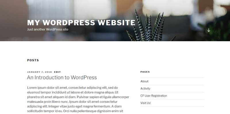 WordPress Front Page